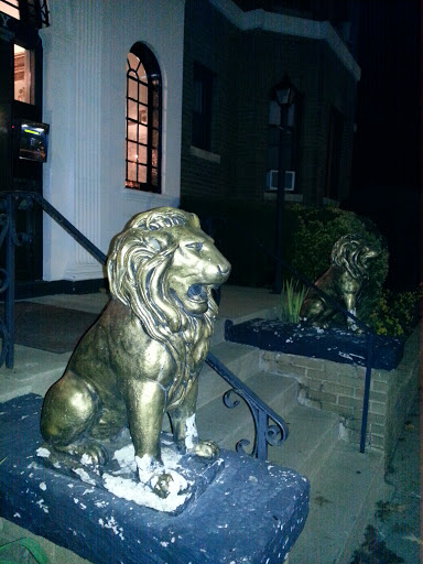 Lions at the Abbey