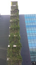 Changi Walled Garden