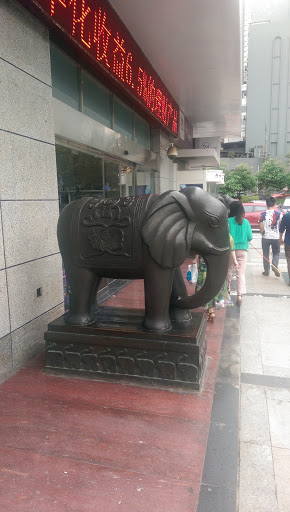 哈尔滨银行左大象