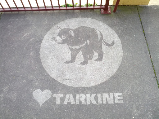 Love the Tarkine Stencil