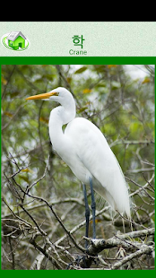 How to get Flashcards Korean Lesson lastet apk for pc