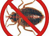Especialistas En Control De Insectos Fumigacion