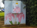 Drawing on Electric Box