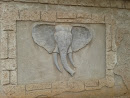 Elephant Wall Mural