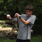 ZachT