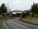 Bridge over Asematie