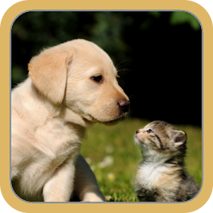 Animal Family.apk 2.0