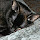 SammyCat