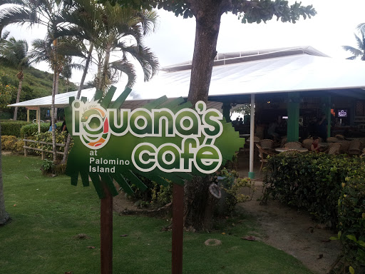 Iguana's Cafe