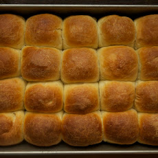 Dinner Rolls