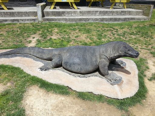 Komodo Sculpture
