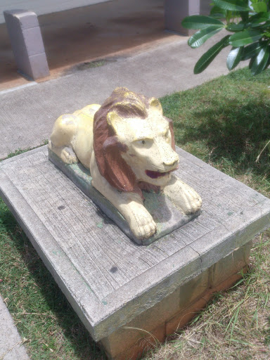 Masa's Cafeteria Lion