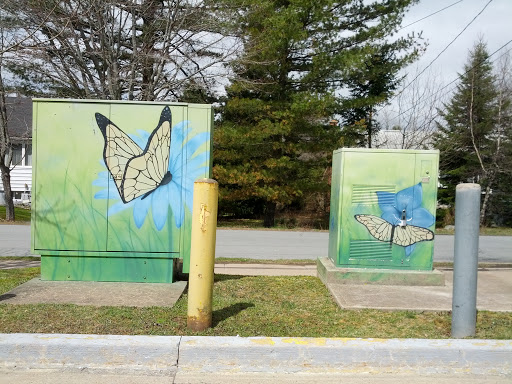 Butterfly Electrical Boxes
