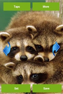 How to get Wild Animals Wallpapers patch 2.0.0 apk for laptop