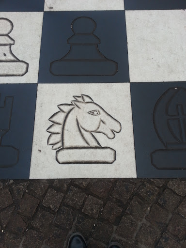 国际象棋之马