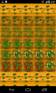 How to get IELTS Word Farm 1.2 mod apk for laptop