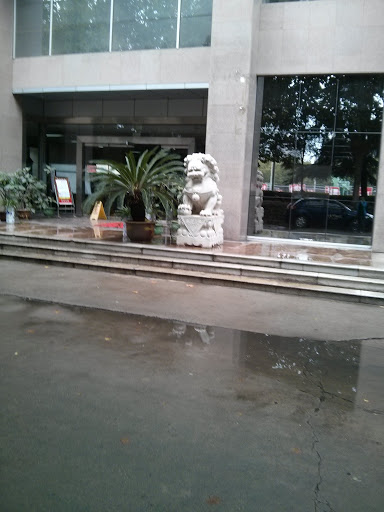 图书馆前面的石狮子
