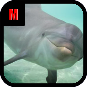 Flappy Dolphin.apk 2.3.4