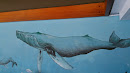 Whale Wall Mural