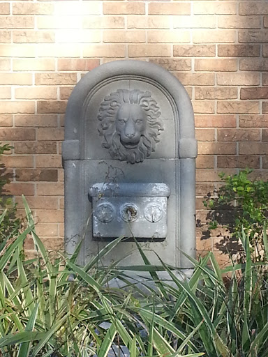 WellTrax Lion Head Fountain