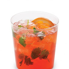 Cilantro Negroni