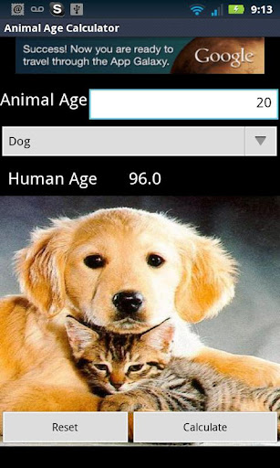 免費下載工具APP|Animal Age Calculator app開箱文|APP開箱王