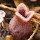Edible and Useful Plants of the East