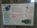 Grizzly Bear Exhibit 