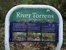 River Torrens Revegetation Program