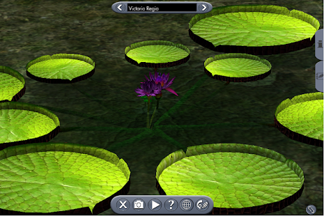 How to download Biology 4 patch 1.7.0 apk for laptop