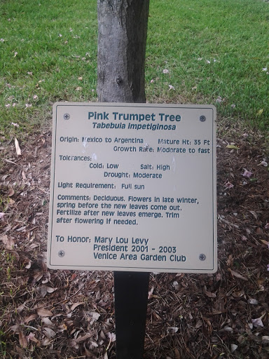 Pink Trumpet Placard