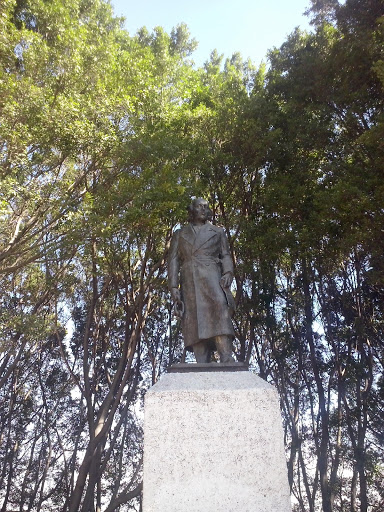 Hidalgo En Parque Liberación