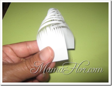 IMG_3247 IMG_3247