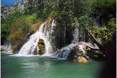 [Omis 049[3].jpg]