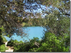 MLJET 266