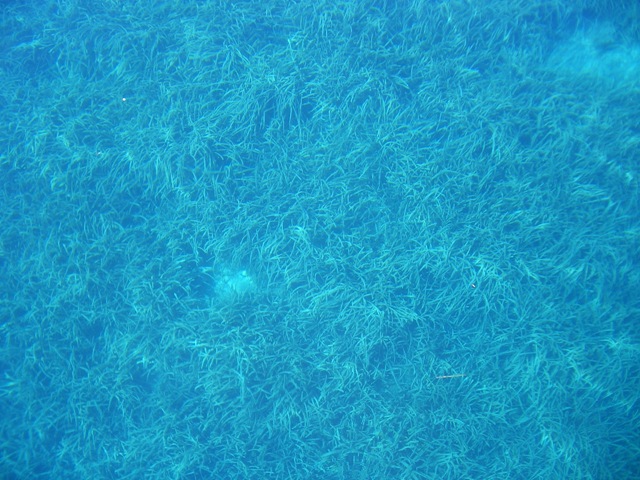 [MLJET 003[3].jpg]