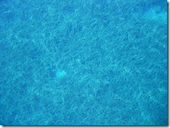 MLJET 003