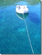 MLJET 001