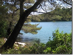 MLJET 289