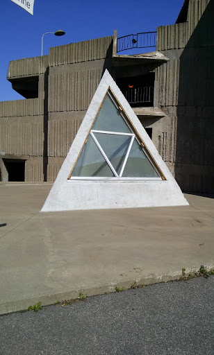 Illuminati Of The University
