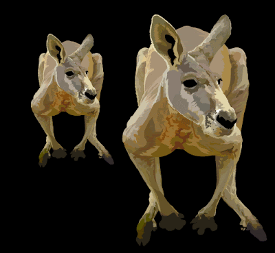 Vector Artwork of a Large Red Kanagroo