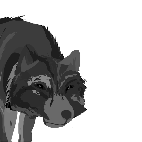 Woolf » drawings » SketchPort