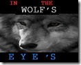 IN THE WOLF'S EYES