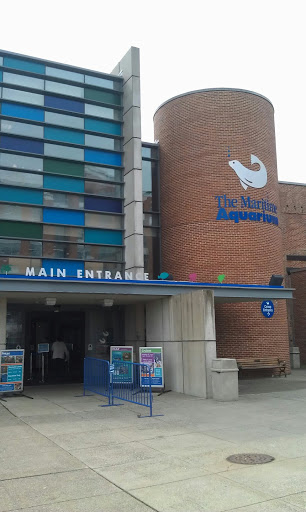 Maritime Aquarium