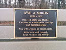 Ayala Miron Bench