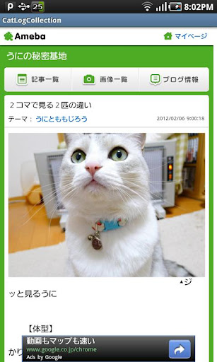 猫ブログ・コレクション