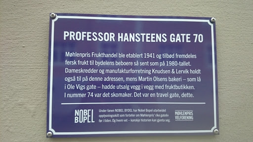 Professor Hansteens Gate 70