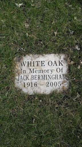 White Oak in Memory of Jack Birmingham