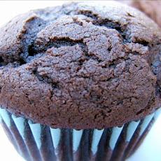 Cocoa Cupcakes