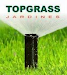 Pasto Alfombra Topgrass